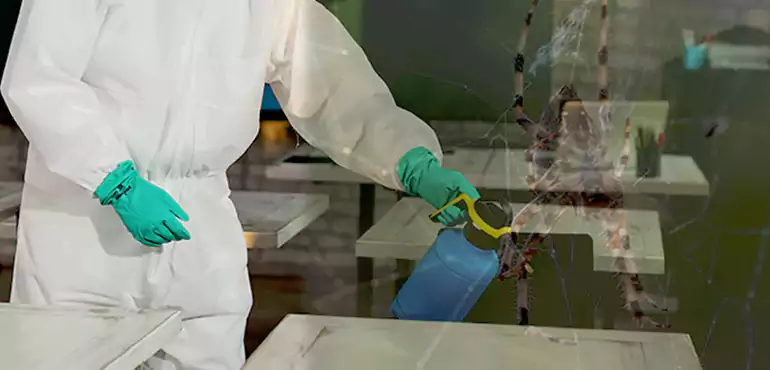 Why Buyers Still Want Homes With Pest Infestations in Cape Coral, FL?