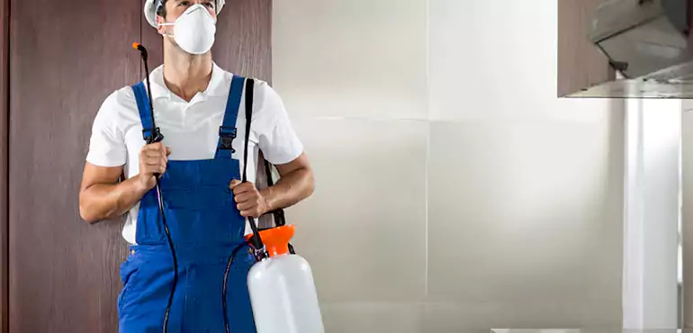 Why Cape Coral Homeowners Choose Us When Pests Make Selling Difficult